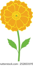 A vibrant marigold vector illustration, showcasing the flower's layered petals and rich colors, perfect for floral and botanical-themed designs.