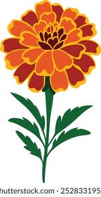 A vibrant marigold vector illustration, showcasing the flower's layered petals and rich colors, perfect for floral and botanical-themed designs.