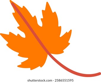 Vibrant orange five lobed maple leaf with a long stem gracefully falling down, symbolizing the beauty of the autumn season and the stunning transformation of colors in nature