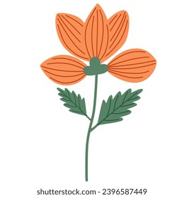 Lebhafte orangefarbene Blume auf weißem Hintergrund, mit faszinierenden Blütendetails und eleganten Stielen.