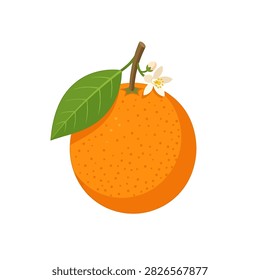 A vibrant orange fruit featuring a textured peel, a single green leaf, and a delicate white citrus blossom flower on a stem, illustrated in a clean vector style.