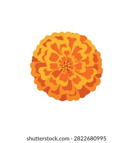 Vibrant Orange Marigold Flower Vector Illustration Isolated on White Background for Floral Decoration