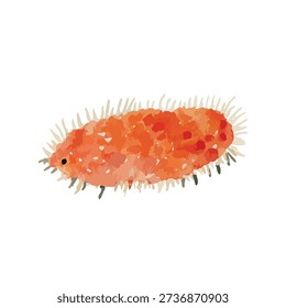 Vibrant orange mealybug pest vector illustration, isolated on white. Ideal for garden pest control, biology education, or plant infestation graphics.