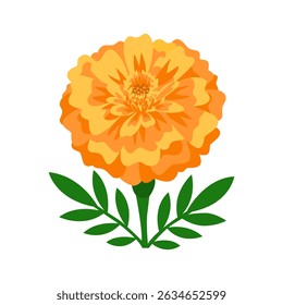 Vibrant Orange yellow Marigold Flower with Green Leaves