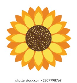 A vibrant orange and yellow sunflower with bright petals stands out against a clean white background, evoking feelings of warmth and happiness, perfect for design projects