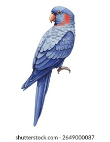 Vibrant parrot illustration featuring a scarlet macaw with vivid red, yellow, and blue feathers. Ideal for tropical-themed designs, posters, invitations, and educational materials.