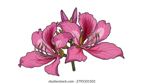 Vibrant pink flower petals bloom