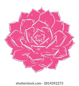 A vibrant pink rose illustration showcasing detailed petals and artistic design, perfect for floral, nature, or decorative themes.