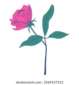 Vibrant pink rose with lush green leaves. Beautiful flower isolated on transparent background. Elegant plant exemplifying floral artistry and simplicity in design. Hand drawn vector illustration.