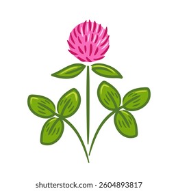 A vibrant and playful vector illustration of red clover in a sketch, showcasing its delicate leaves and natural curves. The design captures the essence of luck and nature with a whimsical touch.