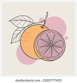 Vector vibrante de la ilustración de la fruta de Pomelo