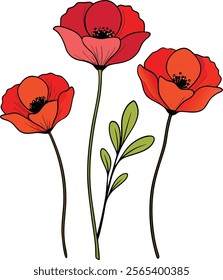 Vibrant Poppy Flower Vector Illustration Symbolizing Boldness and Natural Beauty