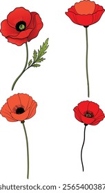 Vibrant Poppy Flower Vector Illustration Symbolizing Boldness and Natural Beauty