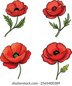 Vibrant Poppy Flower Vector Illustration Symbolizing Boldness and Natural Beauty