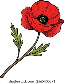 Vibrant Poppy Flower Vector Illustration Symbolizing Boldness and Natural Beauty