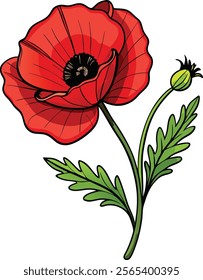 Vibrant Poppy Flower Vector Illustration Symbolizing Boldness and Natural Beauty