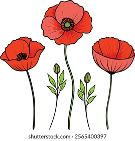 Vibrant Poppy Flower Vector Illustration Symbolizing Boldness and Natural Beauty