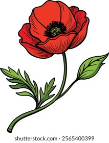 Vibrant Poppy Flower Vector Illustration Symbolizing Boldness and Natural Beauty