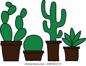 Vibrant Potted Cactus and Succulent Grouping