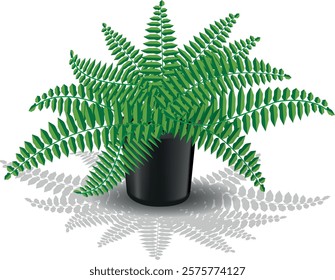 Vibrant Potted Fern Plant Decor