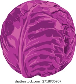Un repollo púrpura vibrante sobre un fondo blanco limpio, mostrando su textura detallada y su estructura frondosa en una composición plana con un toque de color.