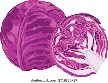 A vibrant purple cabbage and a cut half against a clean white background, showcasing its detailed texture and color.