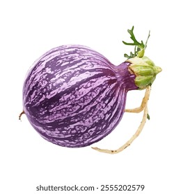 A vibrant purple eggplant with a green cap and roots, showcasing its natural beauty.