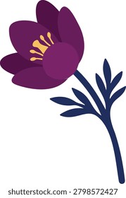 Vibrant purple pasque flower vector illustration with dark stem and leaves, elegant botanical design