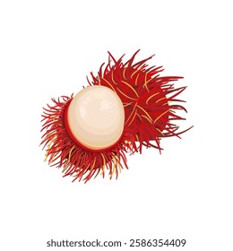 Vibrant rambutan fruits with a spiky red peel and translucent white flesh. Whole and peeled ripe fruit. Set of tasty ripe exotic fruit