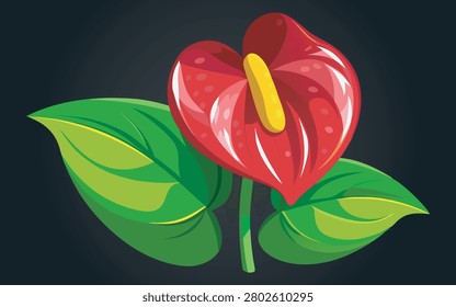 Vibrant red anthurium flower with green leaves on dark background, glossy spathe, prominent yellow spadix, tropical plant illustration.