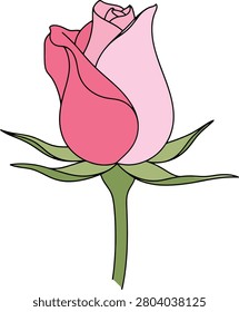 Vibrant Red Blooming Rose Bud With Long Green Stem Isolated on Minimalist Plain White Background