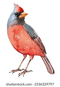 vibrant red and blue cardinal bird. Perfect for nature-themed designs, greeting cards, or home decor. Captures the detailed beauty and charm of this iconic bird.