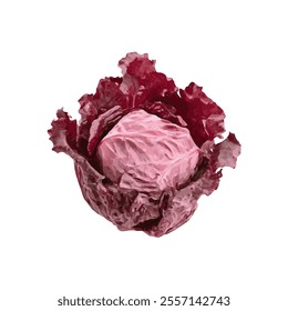 A vibrant red cabbage with leafy outer layers, showcasing its natural texture and color.