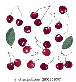 Vibrant red cherry drawing seton white background. Vector hand drawn illustration