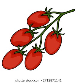 Lebendige rote Kirschtomaten auf grünem Wein, eine einfache Vektorgrafik mit fetten Umrissen und glatter Schattierung.