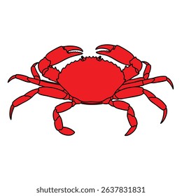 Vibrant Red Crab Illustration with Black Outline on White