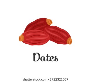 Vibrante ilustración de dátiles rojos, perfecto para una alimentación saludable, refrigerios energéticos o cocina de Oriente Medio. Ideal para gráficos Ramadan Iftar, envases de alimentos y diseños de recetas.