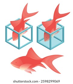 Vibrant Red Fish Inside Transparent Cubes On White Background