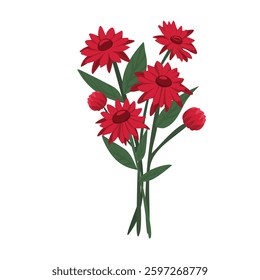 Vibrant Red Gerbera Daisy Flower in Full Bloom with Lush Petals