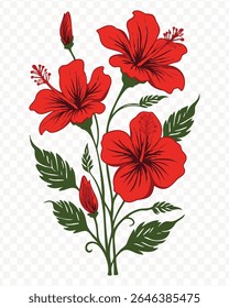A vibrant red hibiscus flower illustration with leaves and petals. Isolated on a transparent background.