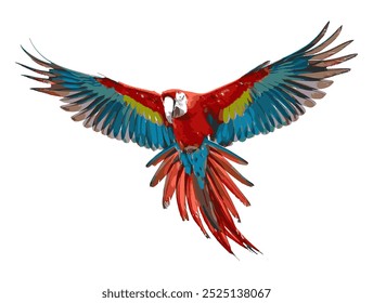 A Vibrant Red Macaw Showcasing Its Colorful Plumage Against a Pristine White Background,illustration.A Stunning Display of Color and Grace.