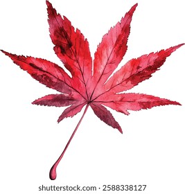A Vibrant Red Maple Leaf Watercolor vector illustrations capturing the beauty of autumn foliage
