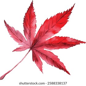 A Vibrant Red Maple Leaf Watercolor vector illustrations capturing the beauty of autumn foliage
