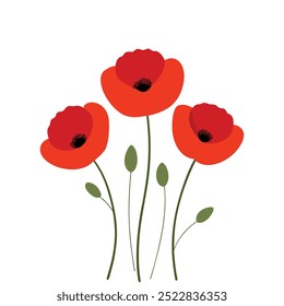 A vibrant red poppy flowers vector illustration on a white background. This elegant and detailed design is perfect for floral-themed art, prints, cards, or decoration projects.