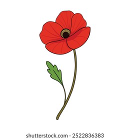 A vibrant red poppy flowers vector illustration on a white background. This elegant and detailed design is perfect for floral-themed art, prints, cards, or decoration projects.