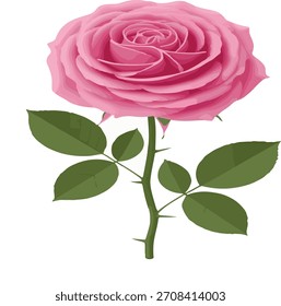 Una vibrante flor de rosa roja se presenta como un gráfico de Vector limpio, ideal para proyectos de diseño que requieren elegancia floral, belleza natural y temas de romance, amor o gracia.