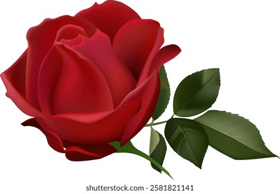 Vibrant red rose in full bloom with rich green leaves, showcasing natural beauty and elegance. Perfect for themes of romance, love, and nature s splendor