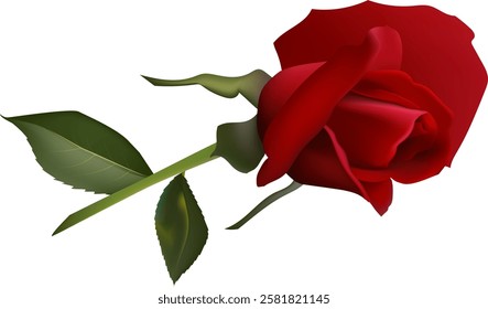 Vibrant red rose in full bloom, accompanied by two lush green leaves. The delicate petals and rich colors symbolize love and beauty, making it perfect for romantic themes and nature concepts