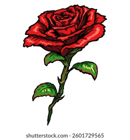 A vibrant red rose in full bloom, isolated on a white background