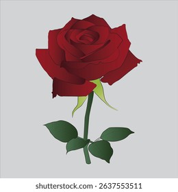 Vibrant red rose illustration with green stem and leaves. Ideal for themes of love, romance, beauty, or floral designs.